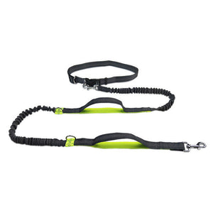 Discover the Ultimate Adjustable Pet Harness Collar and Jogging Leash
