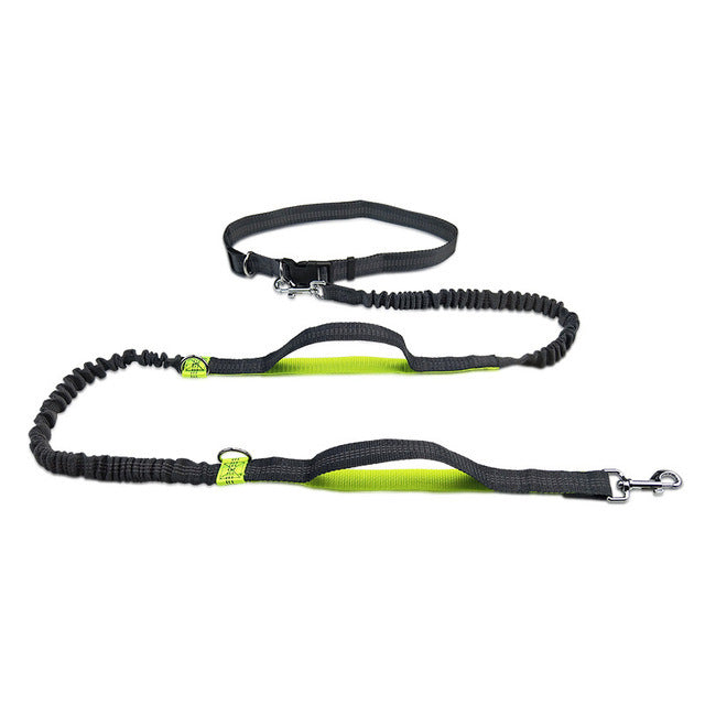 Discover the Ultimate Adjustable Pet Harness Collar and Jogging Leash