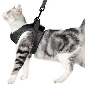 Breathable Lightweight Lace Pet Chest Strap Leash: The Perfect Accessory for Your Feline Friend