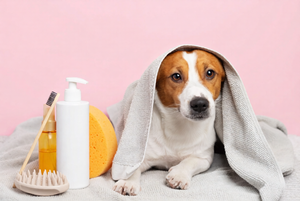 Easy Bathing Tips For Cleaner Happy Pets